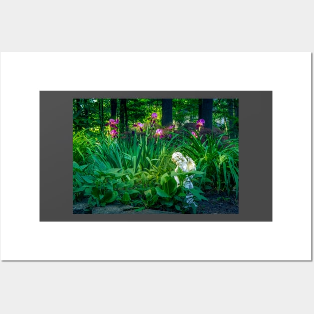 Dancing Iris Wall Art by Robert Alsop